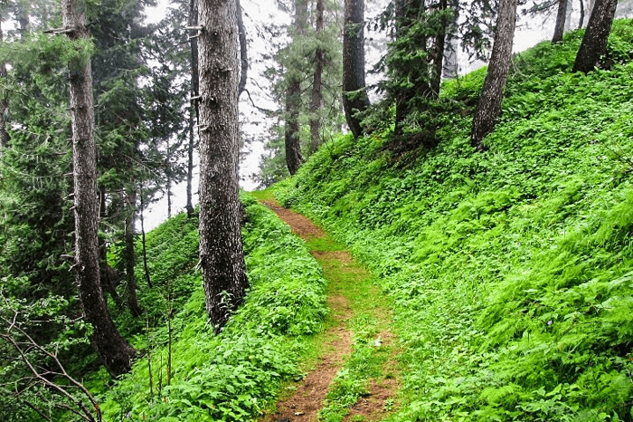 Pipeline Track Of Miranjani in Murree